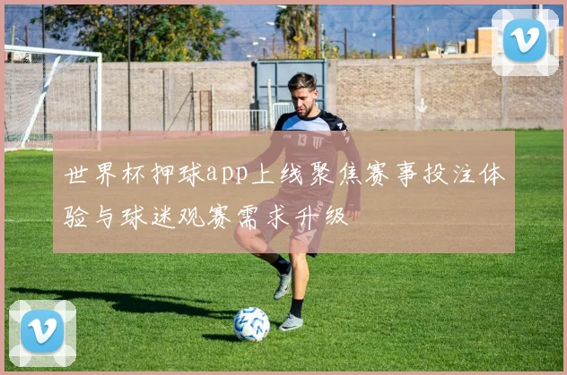 世界杯押球app上线聚焦赛事投注体验与球迷观赛需求升级