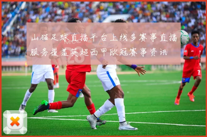 山猫足球直播平台上线多赛事直播服务覆盖英超西甲欧冠赛事资讯