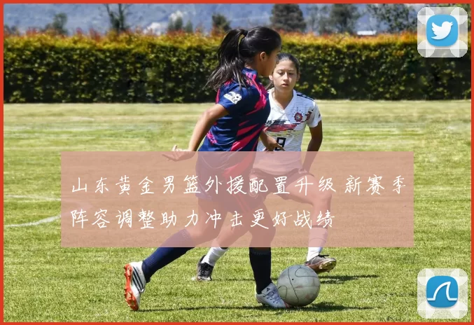 山东黄金男篮外援配置升级 新赛季阵容调整助力冲击更好战绩